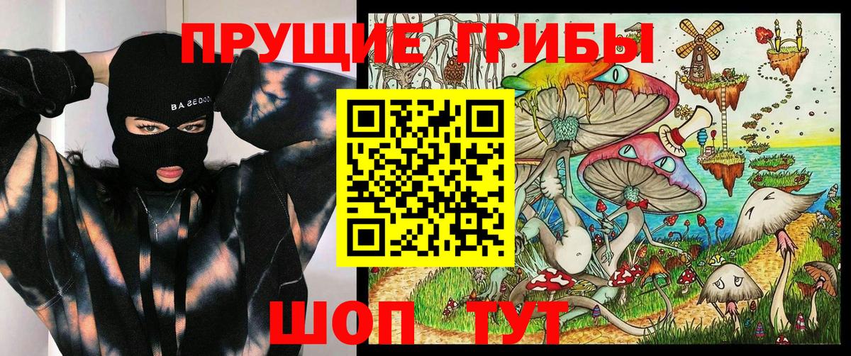 Псилоцибиновые грибы Magic Shrooms Гусиноозёрск